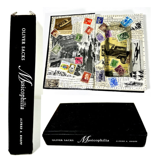 Secret Hiding Book - Musicophilia