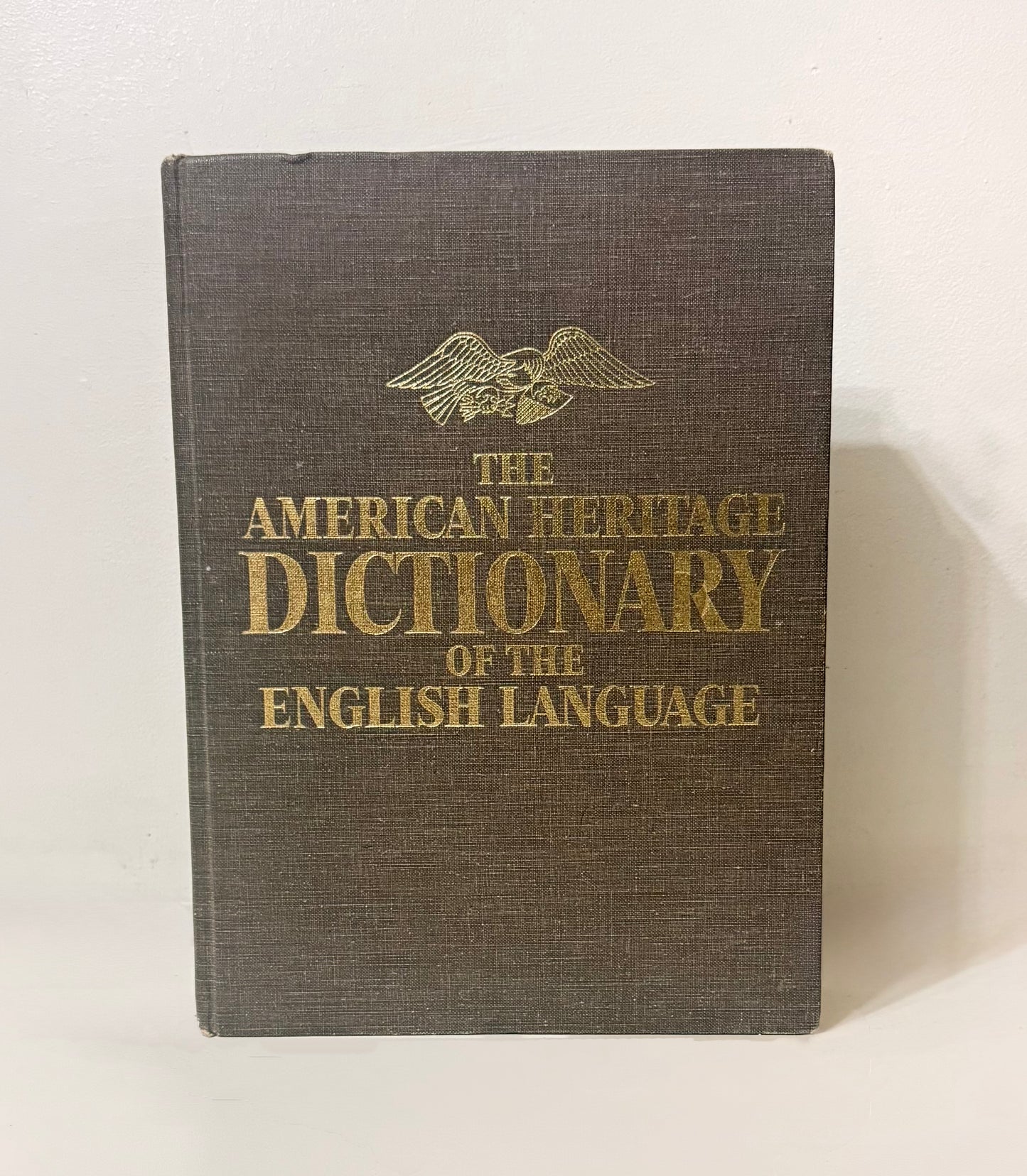 Secret Hiding Book - Dictionary