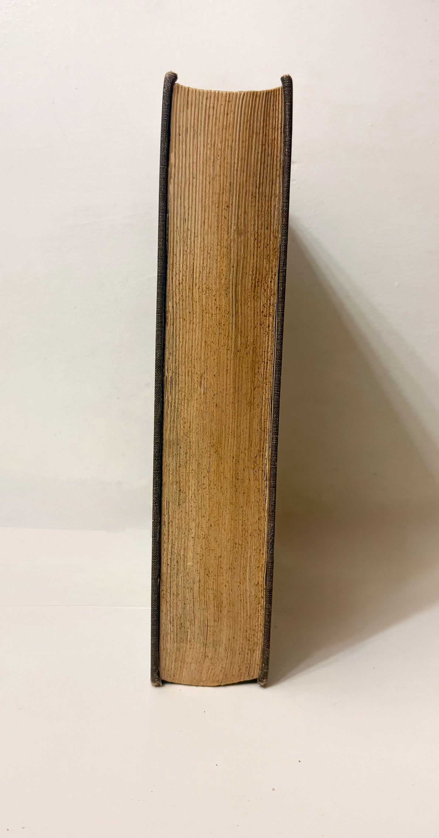 Secret Hiding Book - Dictionary
