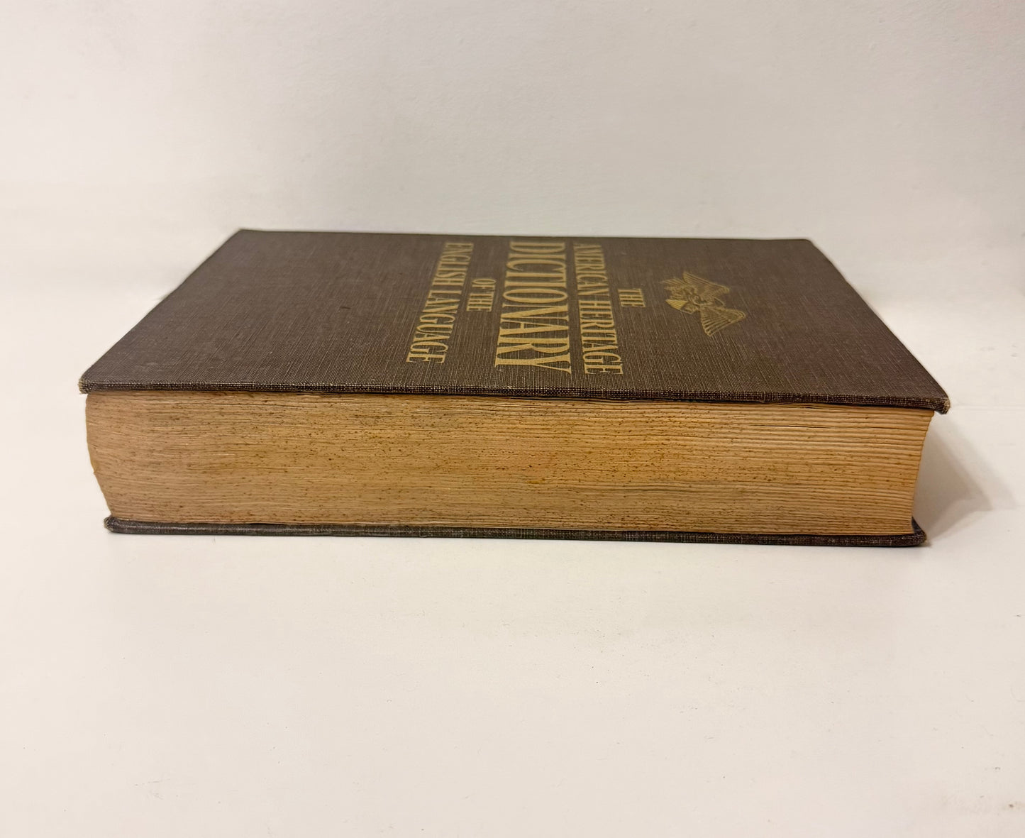 Secret Hiding Book - Dictionary