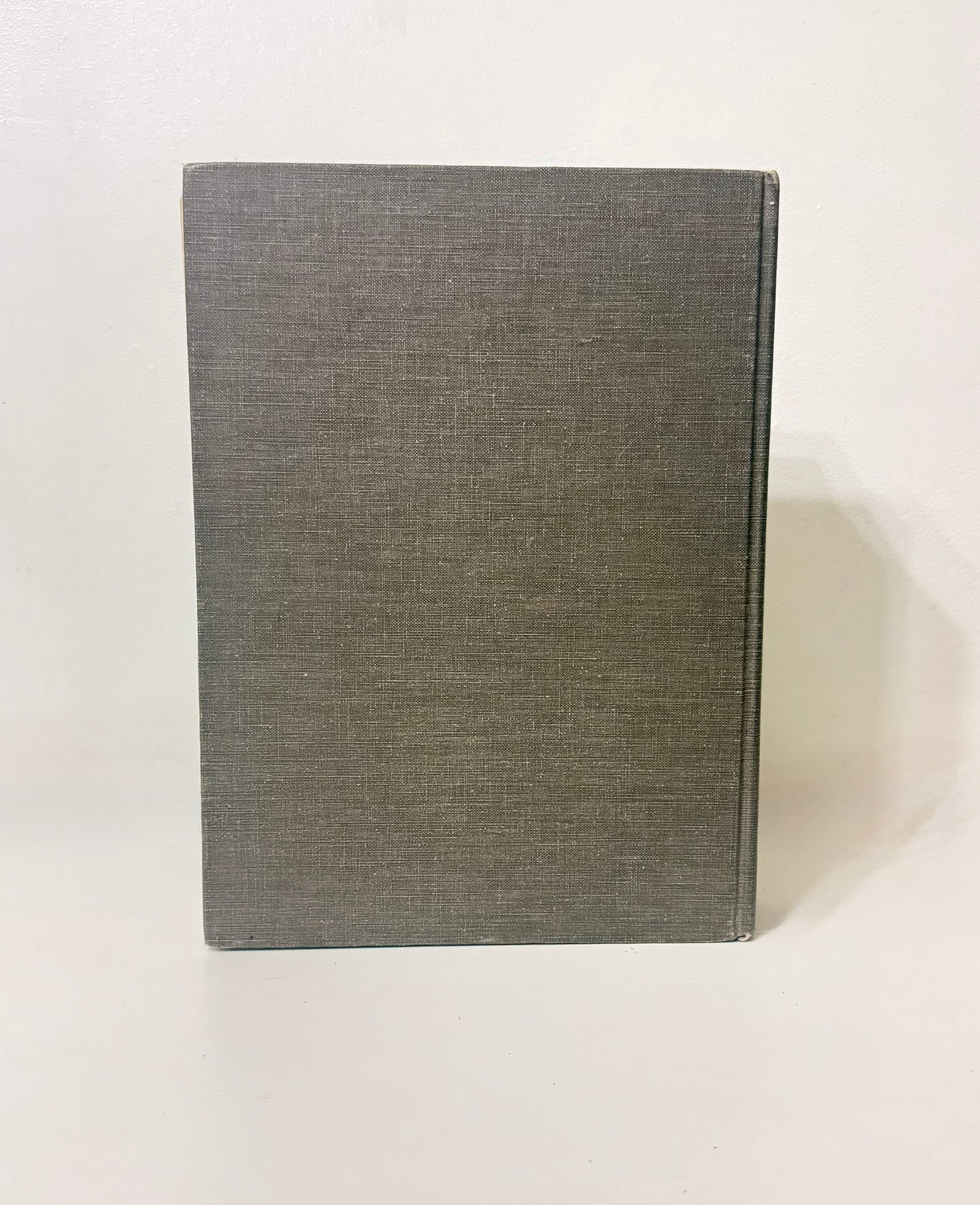 Secret Hiding Book - Dictionary