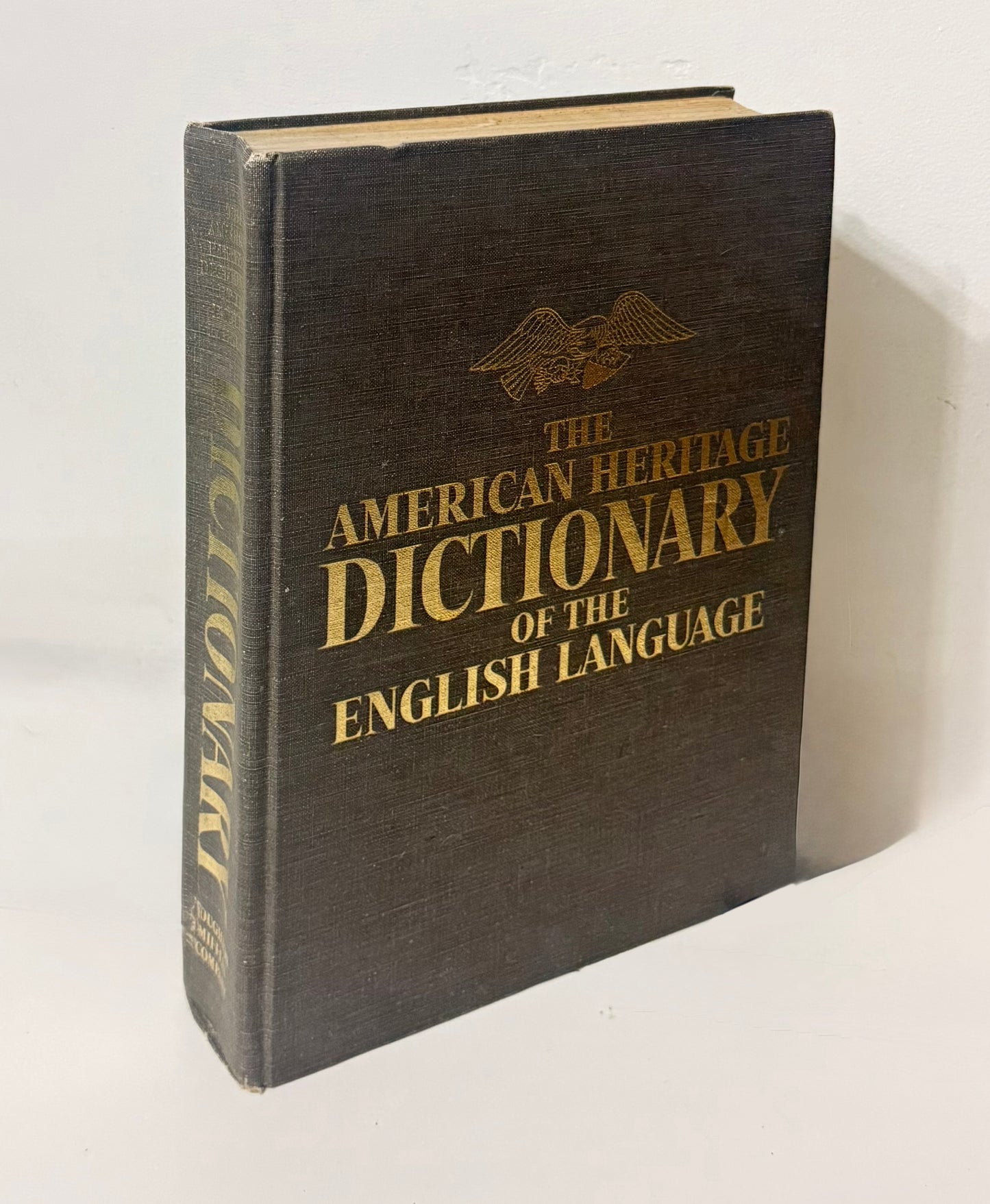 Secret Hiding Book - Dictionary