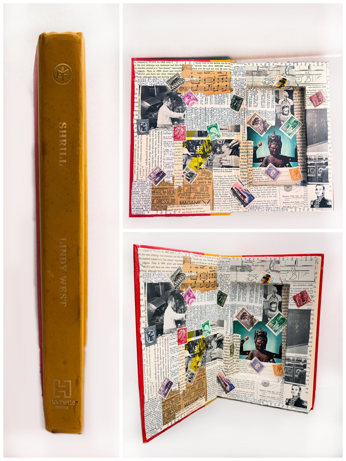 Secret Hiding Book - Shrill