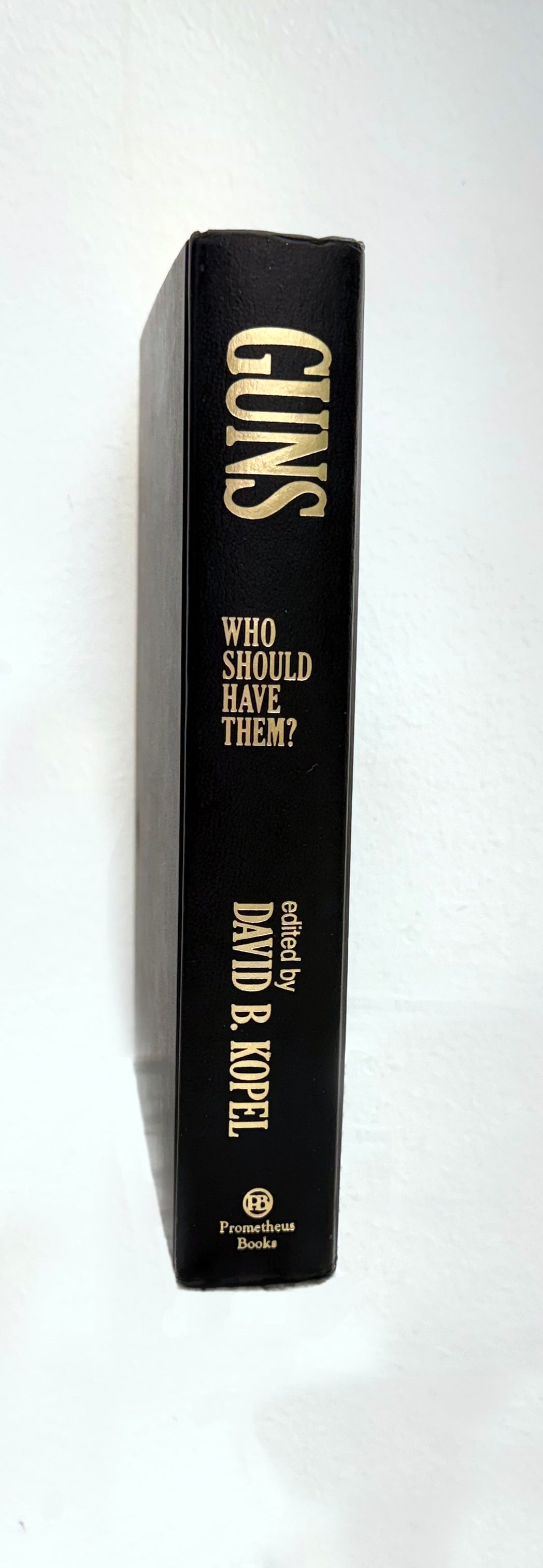 Secret Hiding Book - Guns
