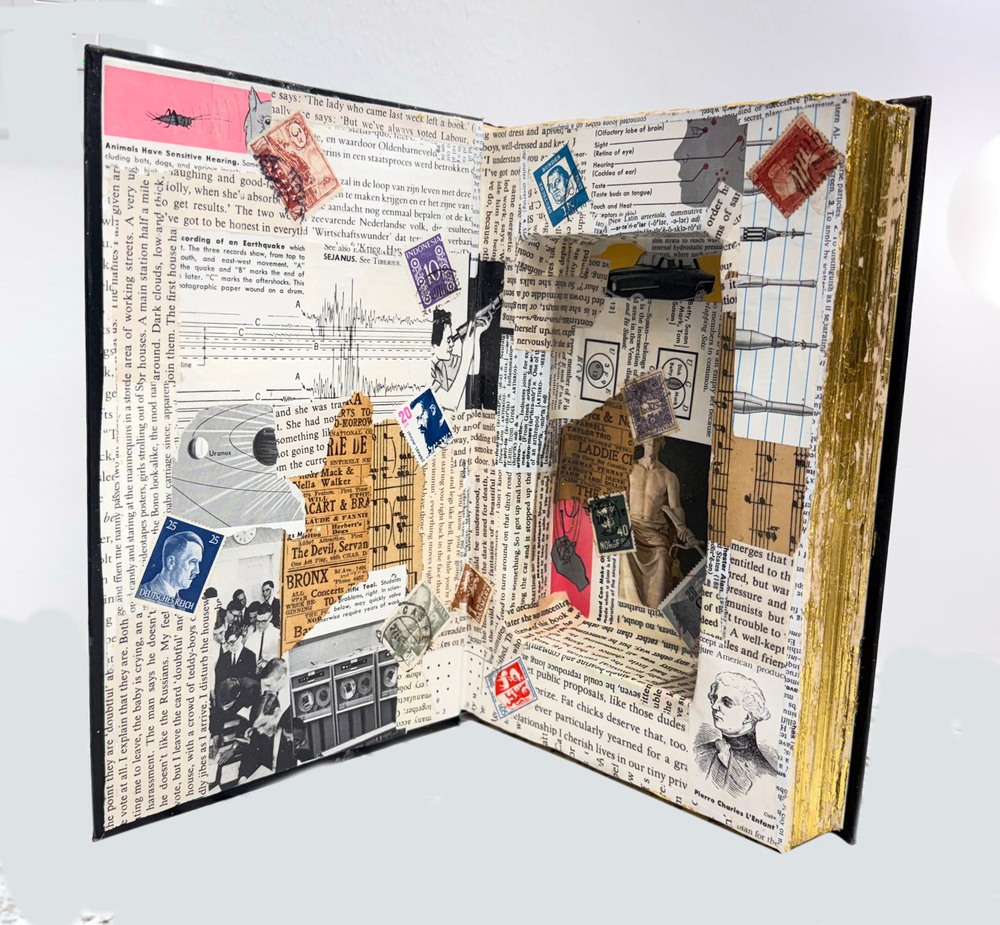 Secret Hiding Book - Guns