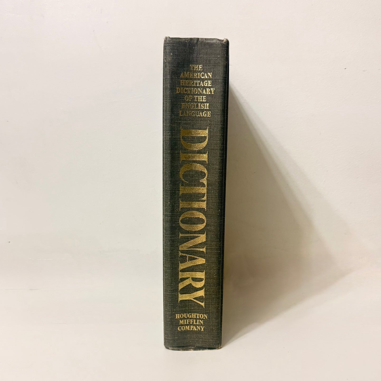 Secret Hiding Book - Dictionary