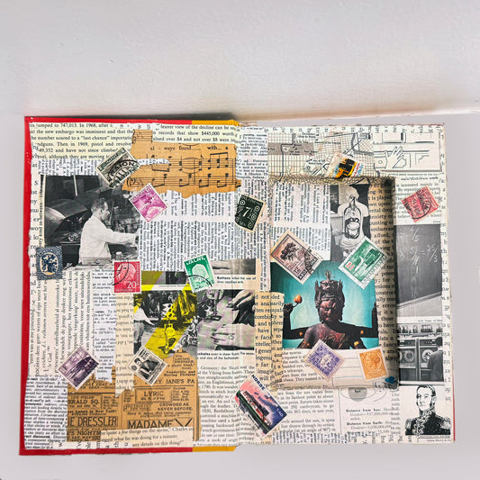 Secret Hiding Book - Shrill