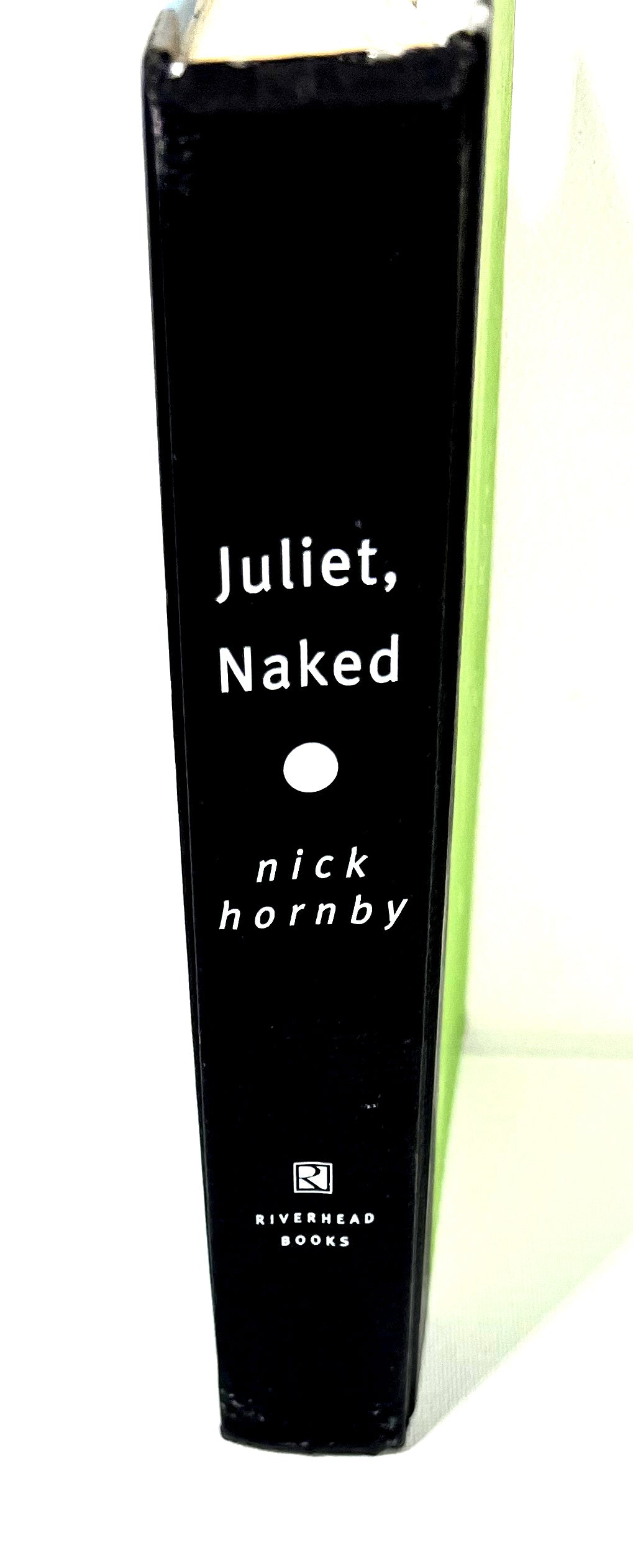 Secret Hiding Book - Naked